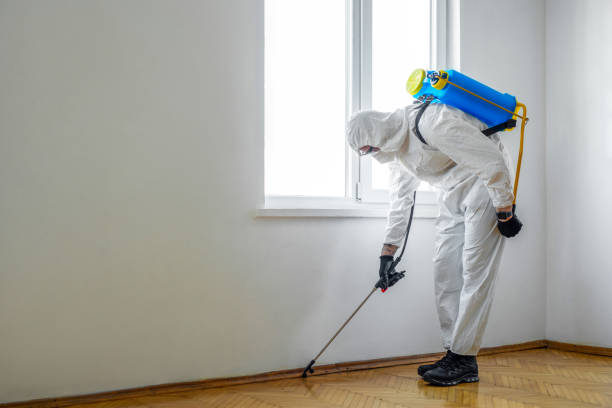 Best Wasp Removal Services  in Anderson, SC